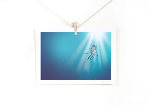 Nadar - Imagen 2